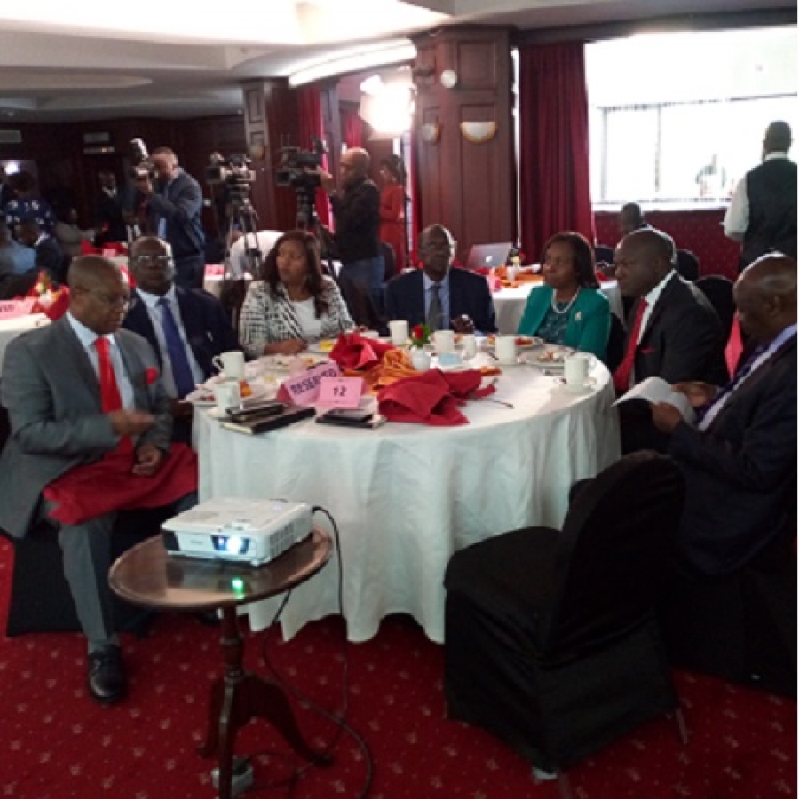 Other dignitaries in the energy sector present during EJEAIVLAUNCH 